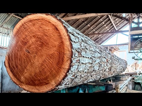 The monster mahogany log sawmill terrible &amp; most expensive