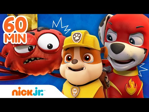 &iexcl;Los M&Aacute;S GRANDES rescates de la Patrulla de Cachorros! 🙀 | Nick Jr. en Espa&ntilde;ol