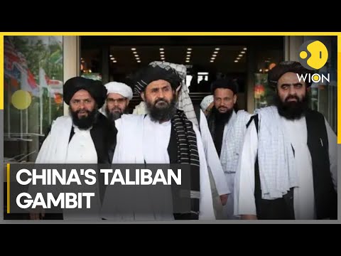 China's new relationship with Taliban | Taliban hails new Chinese ambassador