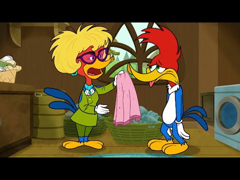 Woody's mum visits | Woody Woodpecker