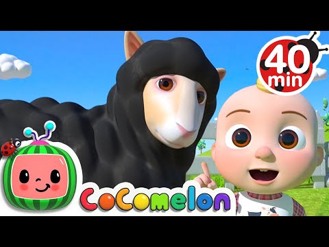 Baa Baa Black Sheep Song + More Nursery Rhymes &amp;amp; Kids Songs - CoComelon