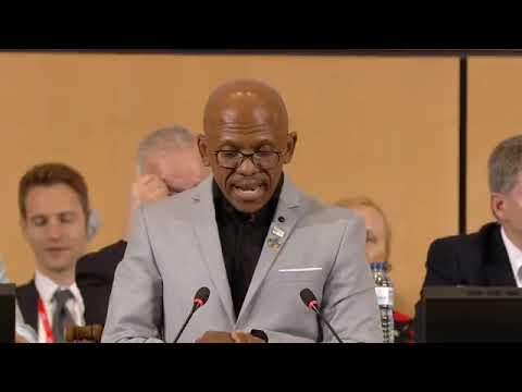 IOE Vice-President addresses the Plenary of the 2019 ILC at the Opening Sitting