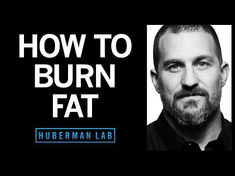 How to Lose Fat with Science-Based Tools