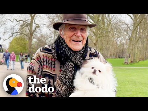 87-Year Old Man Pampers His Dog Like A Princess | The Dodo