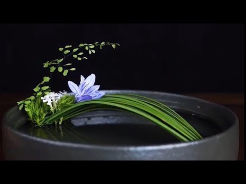 插花藝術--固定和造型花枝，簡單，易學--Flower Arrangement Ideas- ikebana 