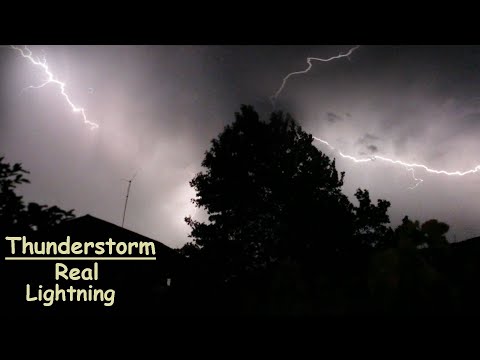 Real Thunderstorm Sounds Atmosphere for Sleeping &amp; Relaxing | Real Lightnings behind the tree