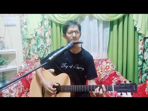 Leader of the band (Dan Fogelberg) cover