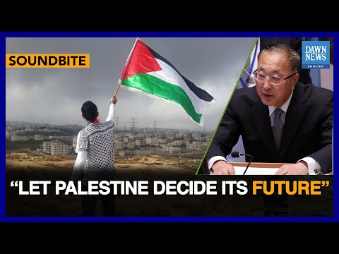 &amp;ldquo;Let Palestine Decide Its Future&amp;rdquo;: China On Fundamental Rights For Palestinians | Dawn News English