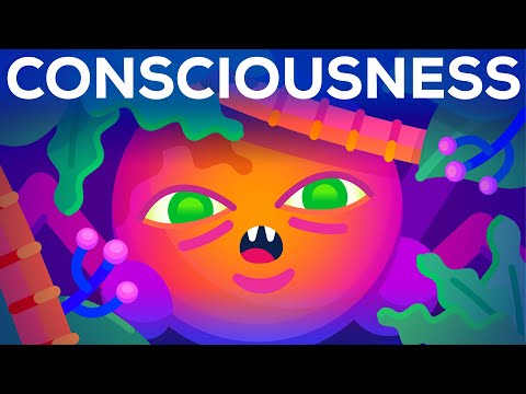 The Origin of Consciousness &ndash; How Unaware Things Became Aware