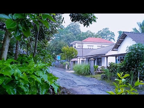 Walk in a beautiful village || the raindrops continued to fall. ASMR