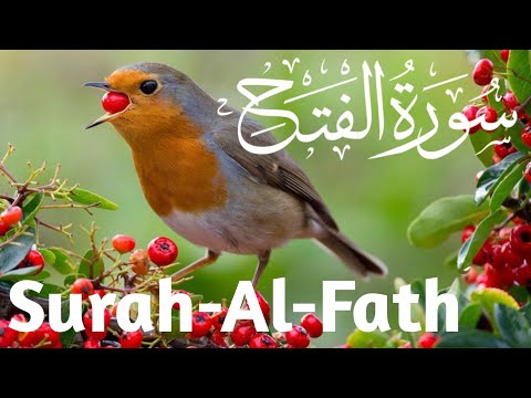 Surah-Al-Fath || By Sheikh Ahmed bin Ail Al Ajmi