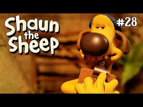 Picture Perfect | Shaun the Sheep Season 4 | Full Episode