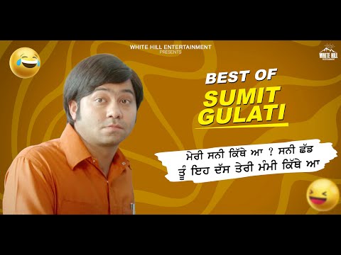 Best of Sumit Gulati | Best Punjabi Scene | Punjabi Comedy Clip | Non Stop Comedy