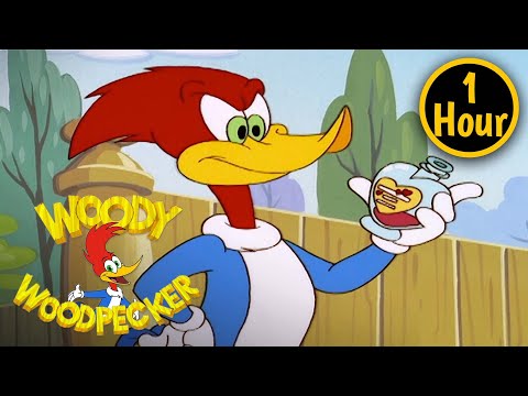 1 Hour of Woody Woodpecker Full Episodes | Love Is In The Air