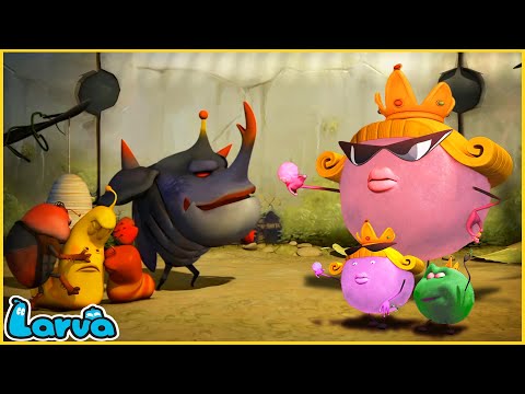 LARVA - Season 1 Episode 61 - 75 | Full Episode Compilation | Mini Series from Animation LARVA