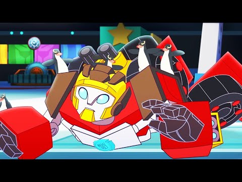 Animal Anarchy | Full Episodes | Rescue Bots Academy | Transformers Kids