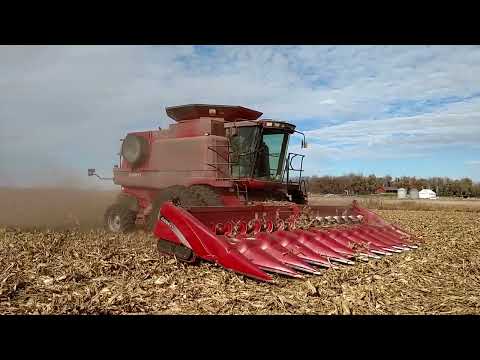 Corn Harvest South Dakota (2016)