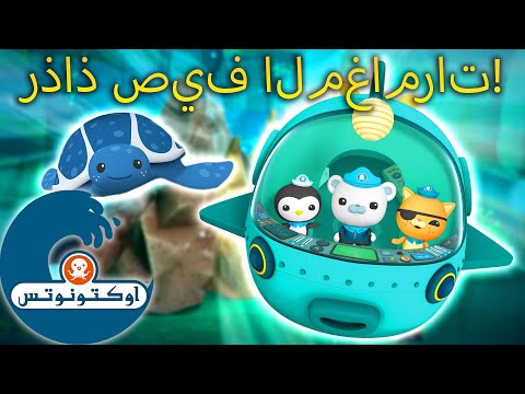 أوكتونوتس | ? رذاذ صيف المغامرات!☀️ | حلقات مجمعة