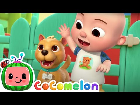 Bingo Is His Name-O + More | Cocomelon| Cartoons for Kids | Childerns Show | Fun Mysteries Friends