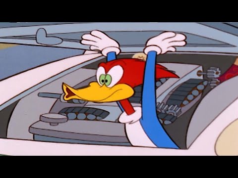 Woody is the fastest bird ever | Woody Woodpecker