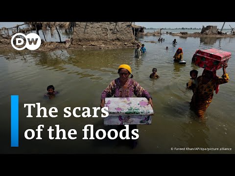 Pakistan's lasting struggle to start over after the floods | DW Documentary