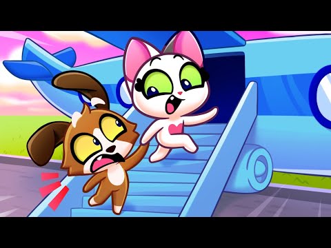 ✈️Learn Airplane Safety Tips with Kitten😻 and Puppy🐶 || For Kids by Purr Purr