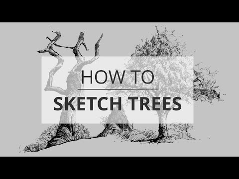 How to Sketch &amp; Draw Trees