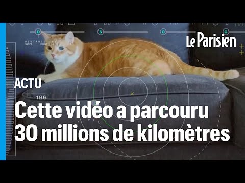 Une vid&eacute;o de chat venue de l'espace lointain