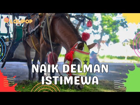 ✅ Lagu Naik Delman - Lagu Anak Indonesia | Lagu Anak Balita | Lagu Anak Indonesia Populer