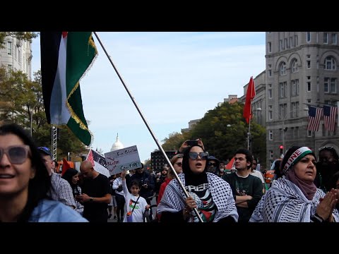 Tens of thousands gather for pro-Palestinian protest