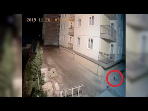 Terremoto in Albania, il momento della scossa ripreso da una telecamera di sorveglianza