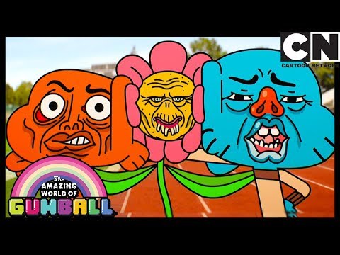 Gumball | The Petals | Cartoon Network