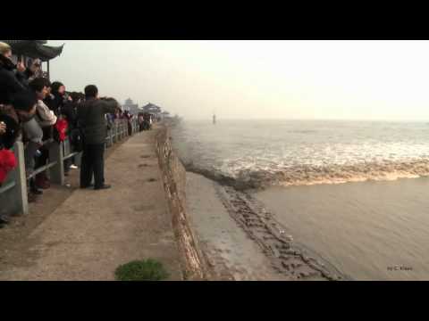 Qiantang River Tide Wave