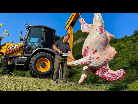 Chef Tavakkul Cooks a Giant Camel! Grand Gourmet Meat Lovers Dish Cooked in the Wilderness