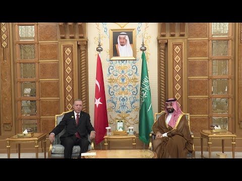 Saudi Crown Prince meets Turkish president during summit on Gaza | AFP