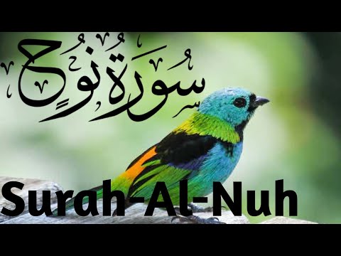 Surah-Al-Nuh (Noah)by Sheikh Ahmed bin Ail Al Ajmi