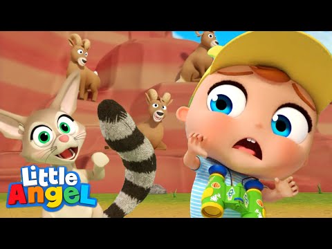 Animals at the Grand Canyon | Camping Song | Kids Cartoons and Nursery Rhymes