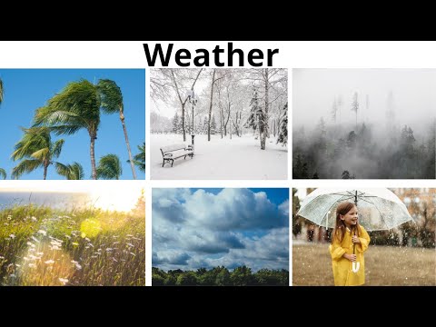 Learn Weather Types: A Fun Guide for Kids! ☀️?️?️| Kids Storybook Cottage