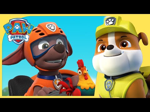 Zuma Catches Runaway Chickens &amp; MORE 🐓| PAW Patrol | Cartoons for Kids