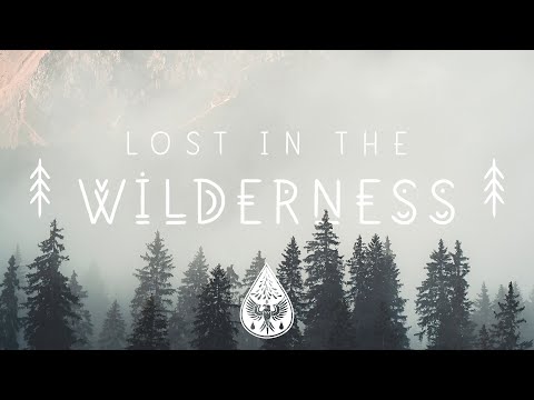 Lost In The Wilderness ↟ - An Indie/Folk/Alternative Playlist