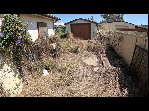 Part 2 - NEGLECTED yard now BEST in the STREET