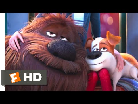 The Secret Life of Pets - Coming Home Scene | Fandango Family