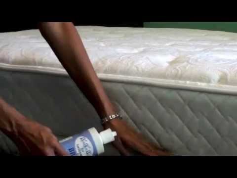 diatomaceous earth bed bugs