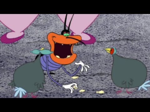 Oggy and the Cockroaches 🐦 BIRDS &amp; DEEDEE 🐦 Full Episode HD