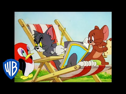 Tom &amp; Jerry | Jerry and the Baby Woodpecker | Classic Cartoon | WB Kids