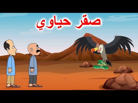 حياوي وطاهر اشترو صقر يصيدون بيه