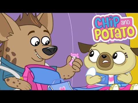 Chip and Potato | Chip's School Trip // Big Sister Chip | Cartoons For Kids