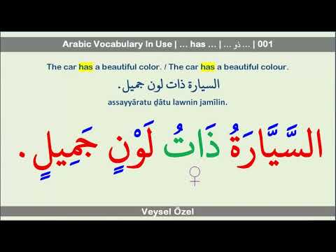 Arabic Vocabulary In Use | &hellip; has &hellip; | (&hellip;  ذُو &hellip;) | 001