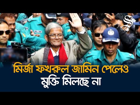 একটি মামলায় মির্জা ফখরুলের এবং দুই মামলায় আমির খসরুর জামিন