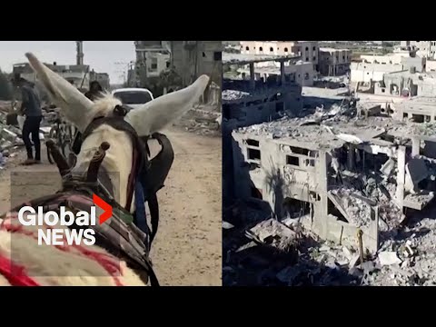 Israel-Hamas: Donkey tour, drone footage shows extent of destruction in Gaza&rsquo;s Khan Younis